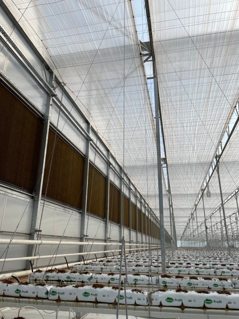 Detailed greenhouse screen installation